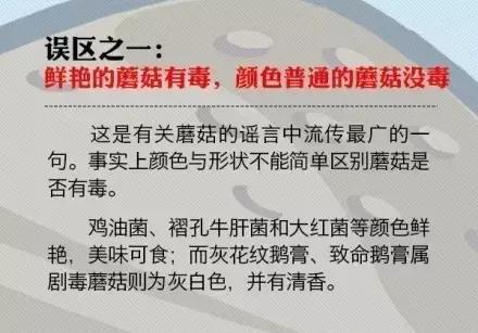 文山有多少人野生菌中毒,文山一家人吃野生菌中毒事件