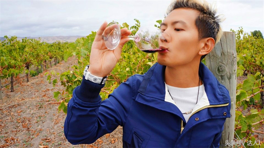 澳洲阿德莱德vs悉尼fc,阿德莱德对澳洲悉尼