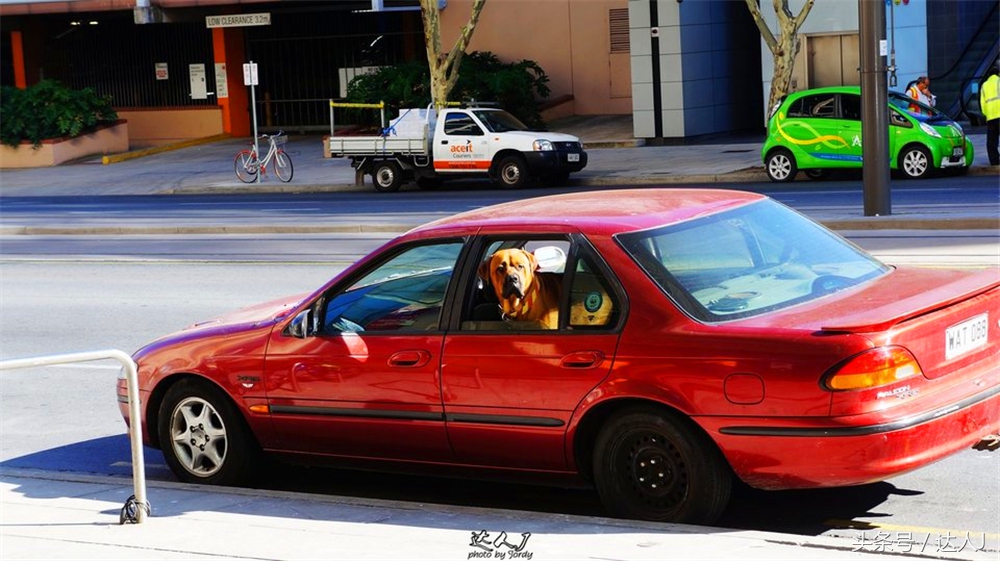 澳洲阿德莱德vs悉尼fc,阿德莱德对澳洲悉尼