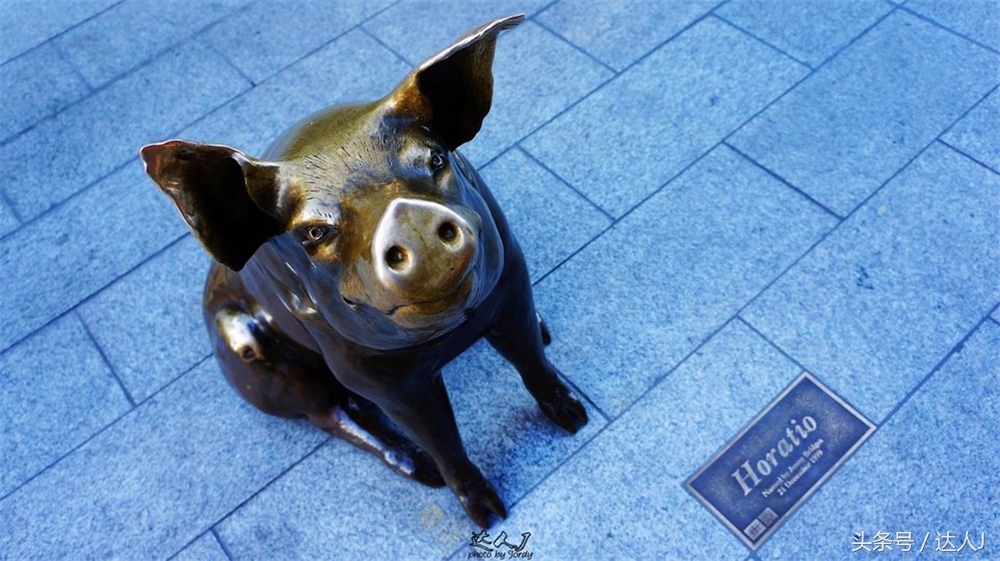 澳洲阿德莱德vs悉尼fc,阿德莱德对澳洲悉尼