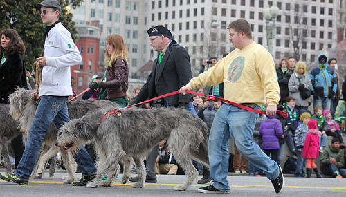 吃热狗挑战赛,吃热狗大赛热狗多重