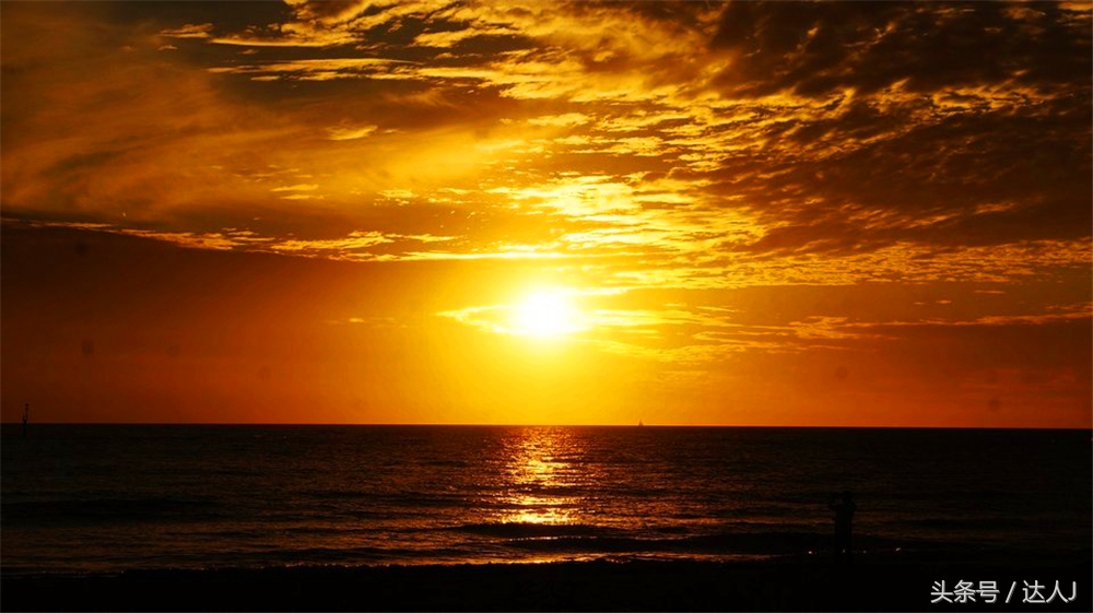 澳洲阿德莱德vs悉尼fc,阿德莱德对澳洲悉尼