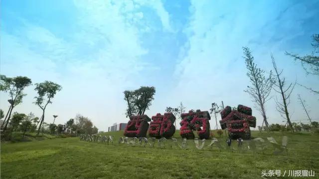 鎶撲綇鍟嗘満鎻愰珮灞曚細鏁堢泭,鎶婃彙娲诲姩鑺傜偣鏄垚闀垮緢濂界殑鏈轰細