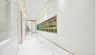 探店：在奢侈级口腔医院里做一把“上帝”