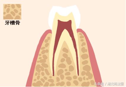 探店：在奢侈级口腔医院里做一把“上帝”