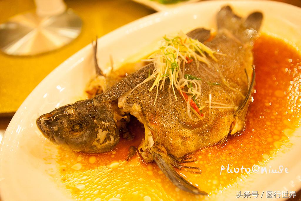 去丽江住客栈好还是住民宿,去丽江客栈还是酒店