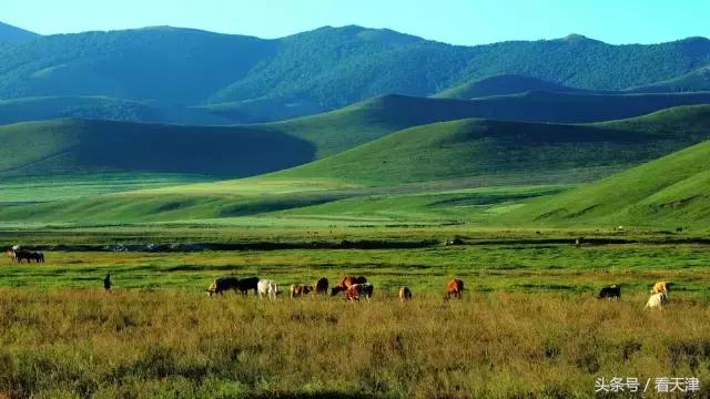 天津避暑胜地推荐,天津避暑胜地