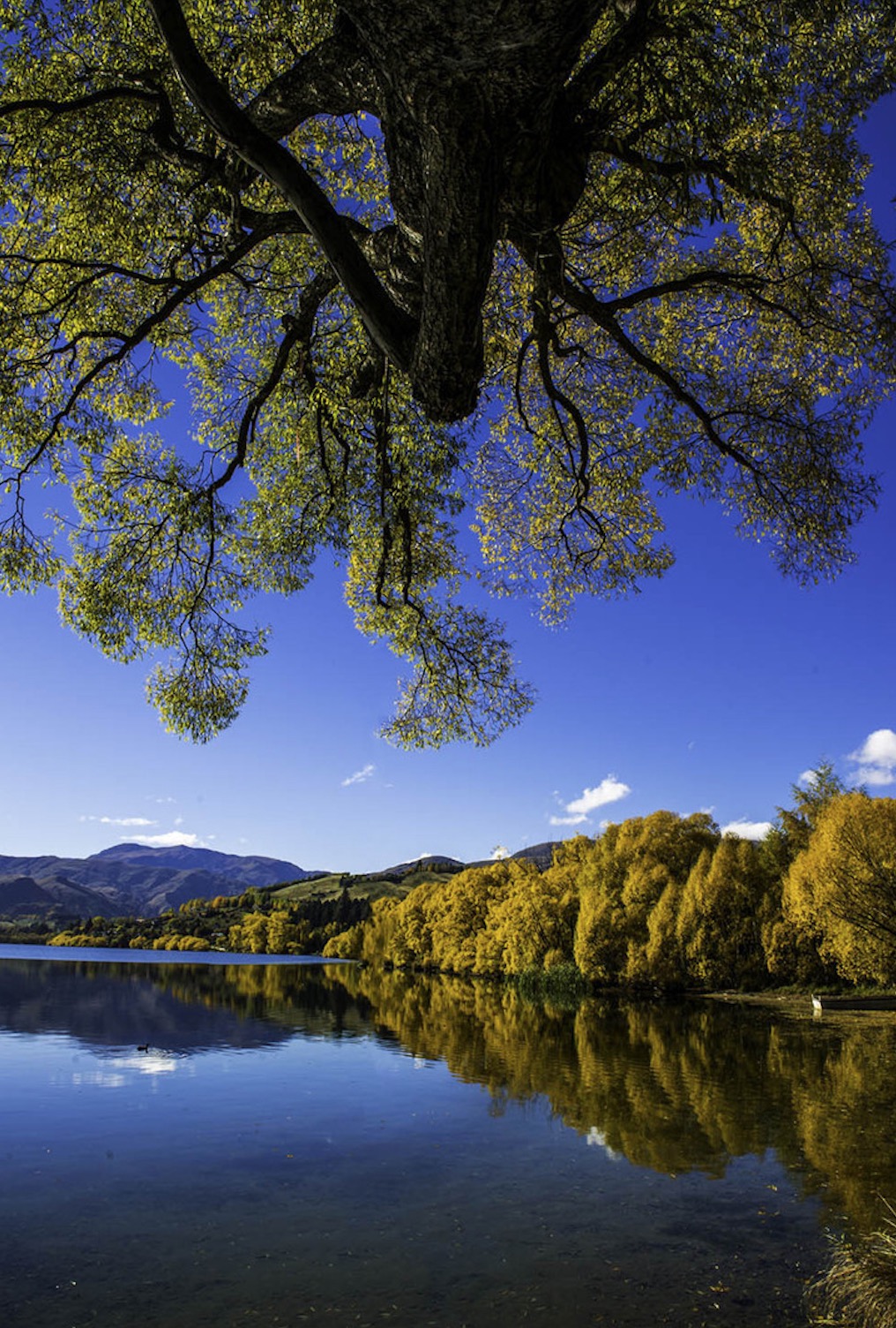 新西兰南岛的冬天,新西兰南岛秋天最佳时间