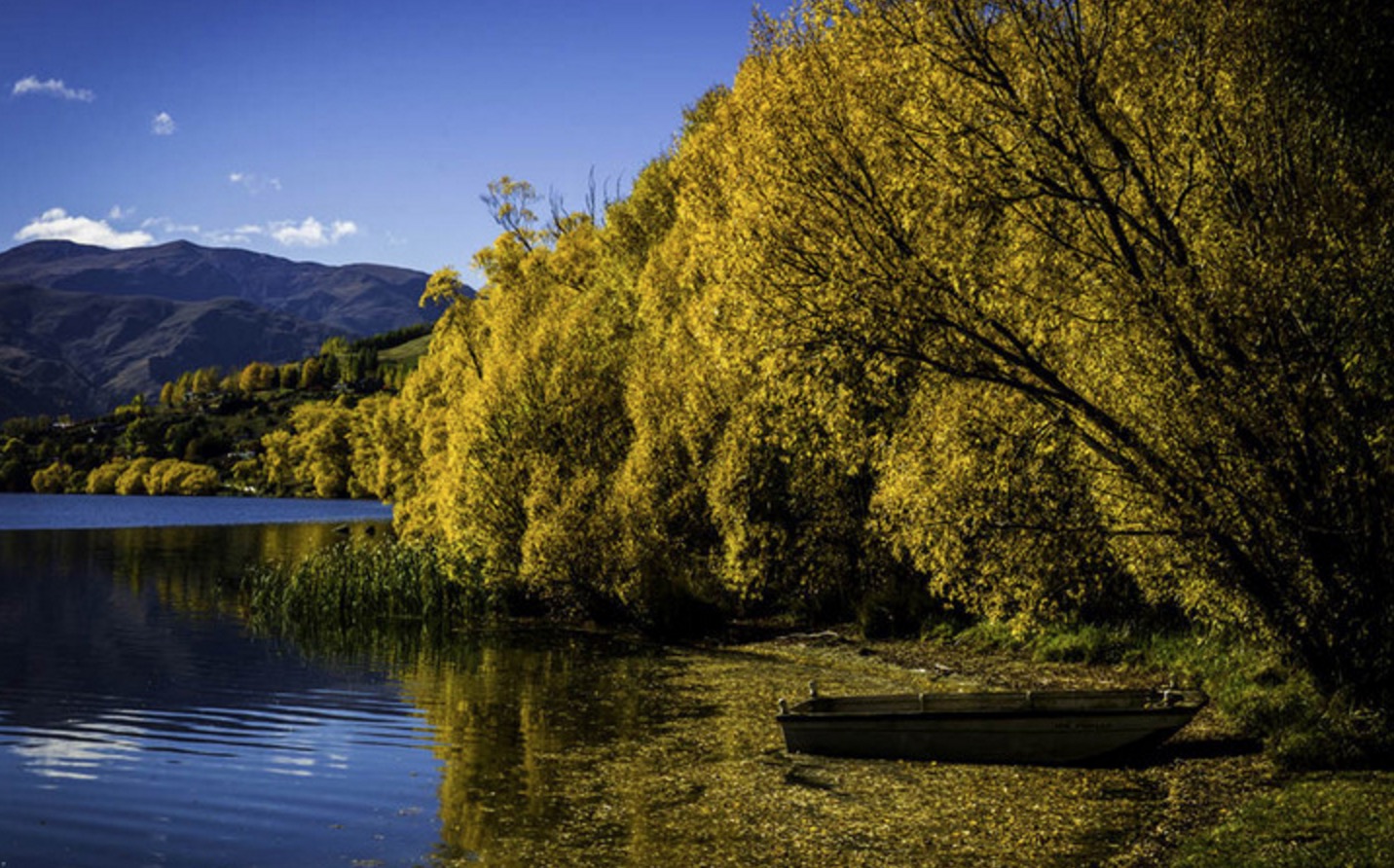 新西兰南岛的冬天,新西兰南岛秋天最佳时间