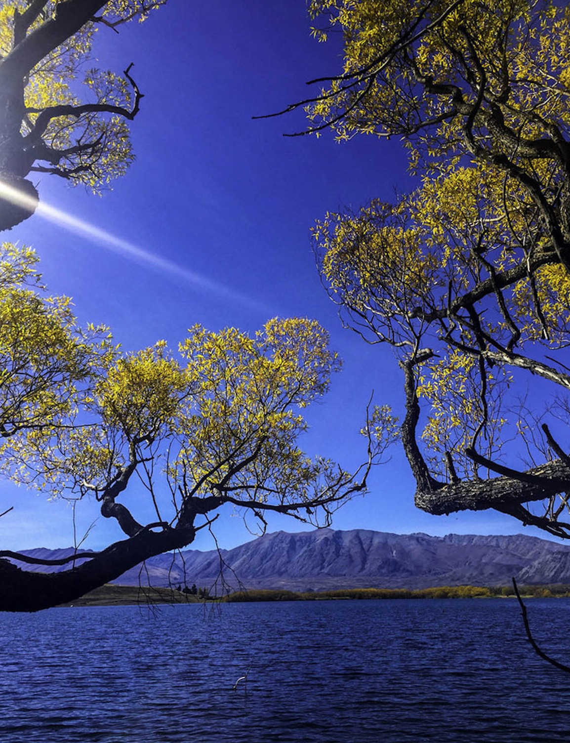 新西兰南岛的冬天,新西兰南岛秋天最佳时间