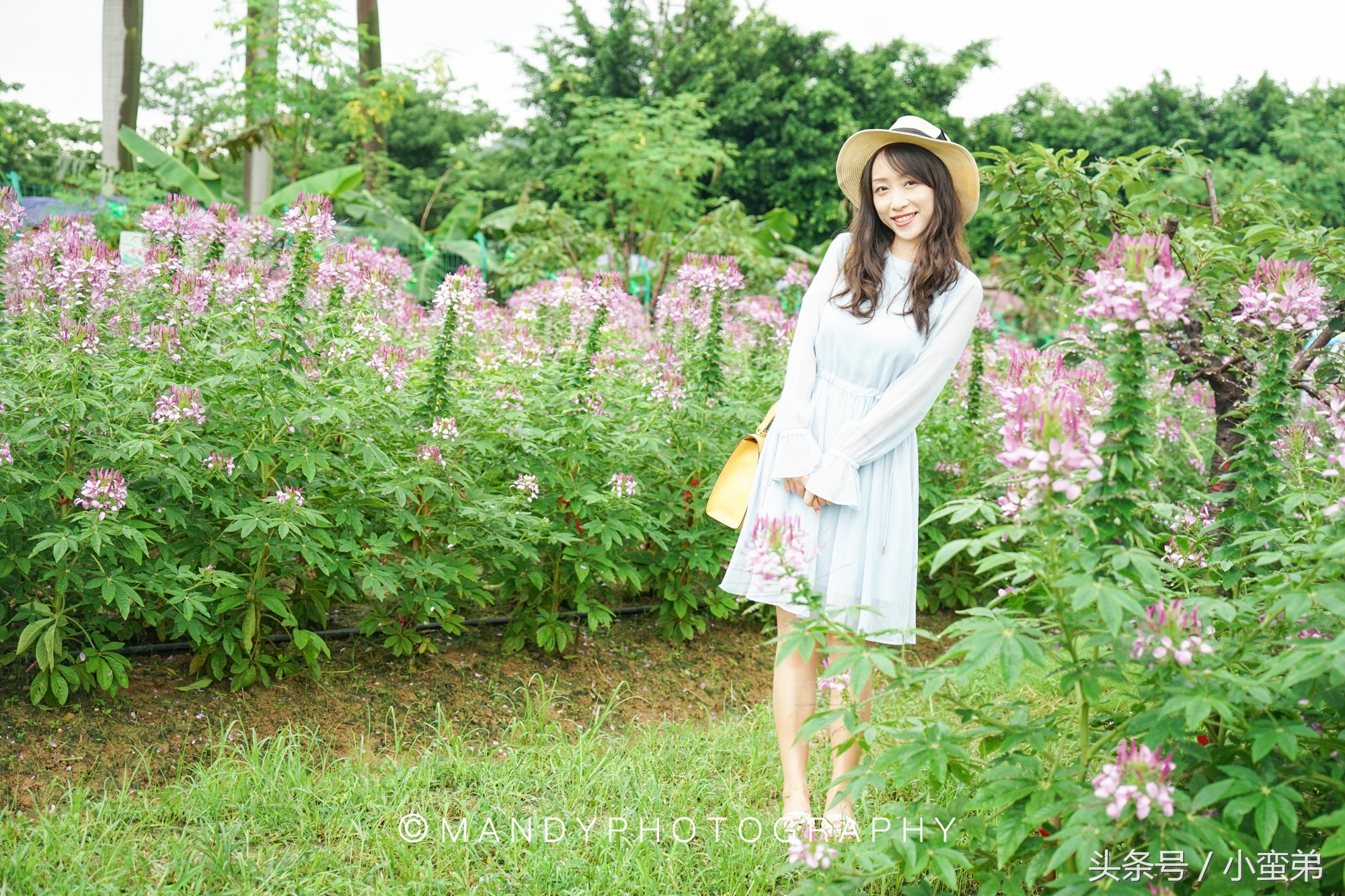 广州周边不为人知的宝藏景点,广州水上乐园旅游景点推荐