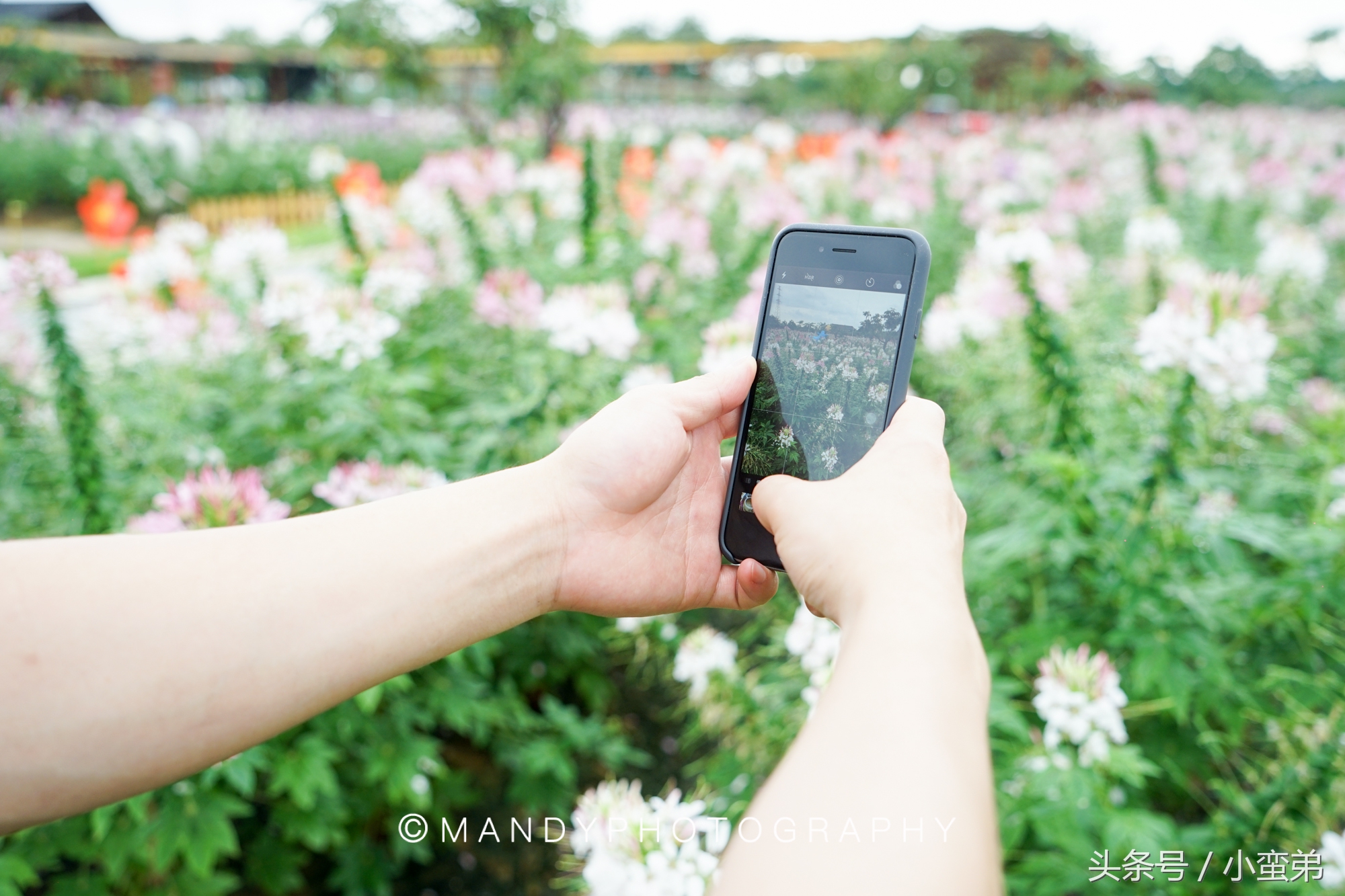 广州周边不为人知的宝藏景点,广州水上乐园旅游景点推荐