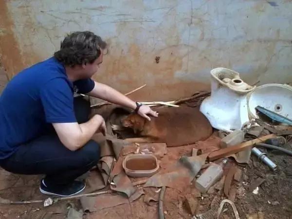 网友把足球PS成猫咪,毫无违和感!看什么看,没猫你踢什么球!