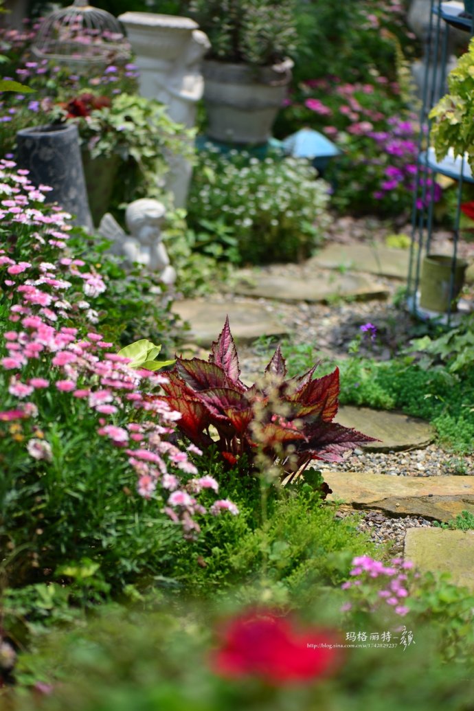 花园拜访,成都玛莉亚色彩花园电话