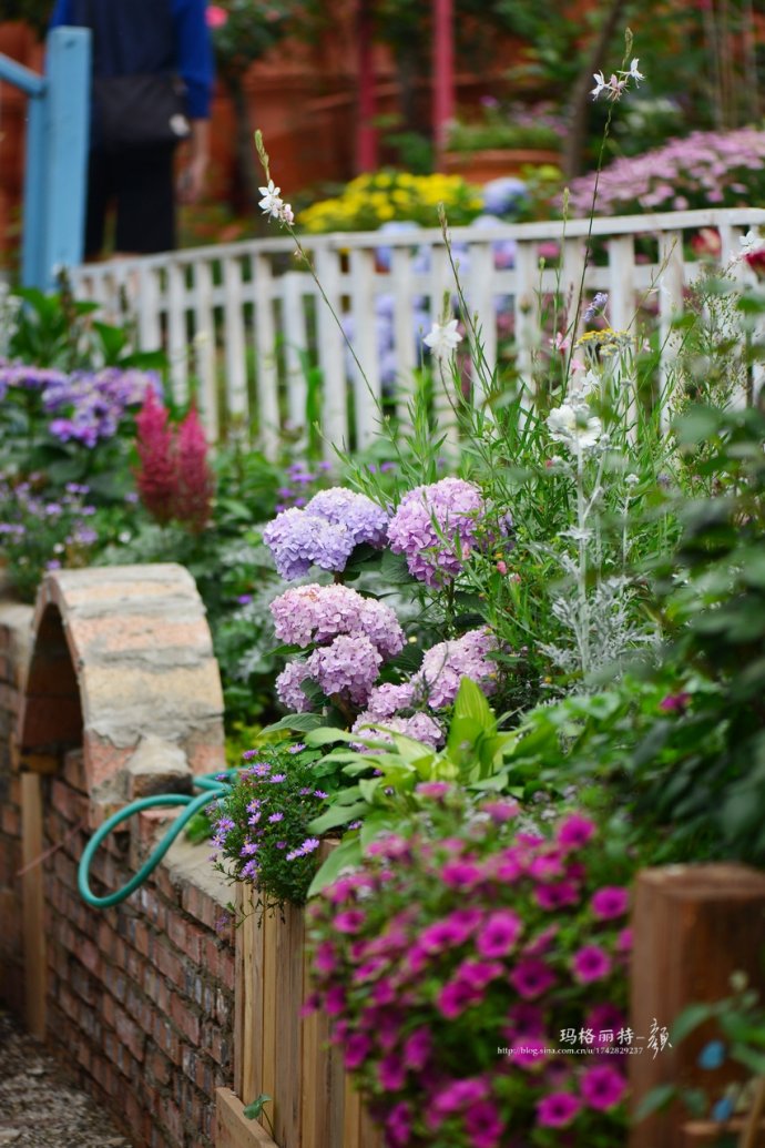 花园拜访,成都玛莉亚色彩花园电话