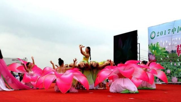 娣槼鑽疯姳鑺傚叕浜よ溅骞挎挱,娣槼鑽疯姳鑺傚幓鍝噷鍧愯埞