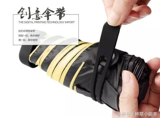 草单:翻包!我的日常包包里究竟装着什么?