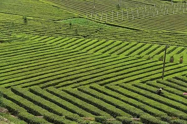 宜昌周边适合避暑的古镇,宜昌小众避暑景点