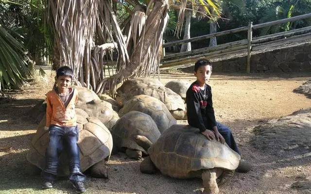 去塞舌尔用不用护照,塞舌尔护照免签国2024