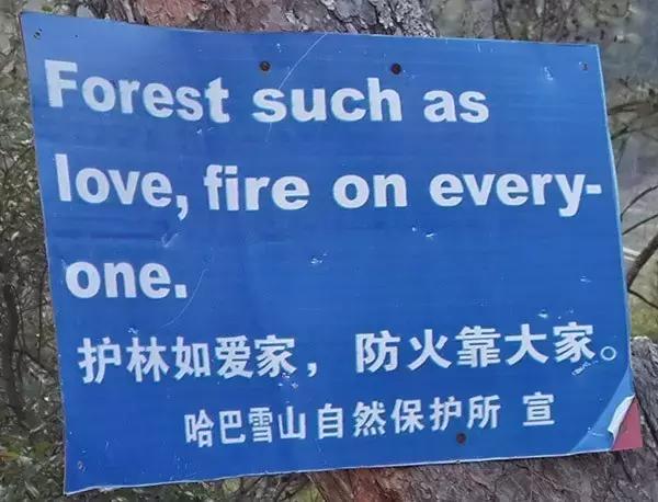 那些被外国人认可的chinglish,十大常用chinglish
