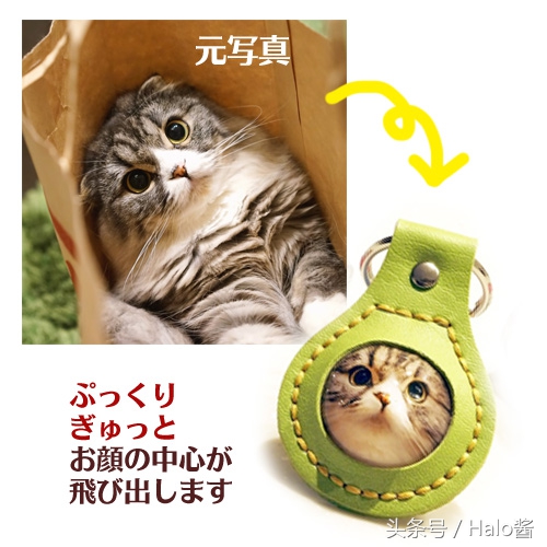 可爱猫咪钥匙扣宠物挂件,小宠物猫咪钥匙扣diy
