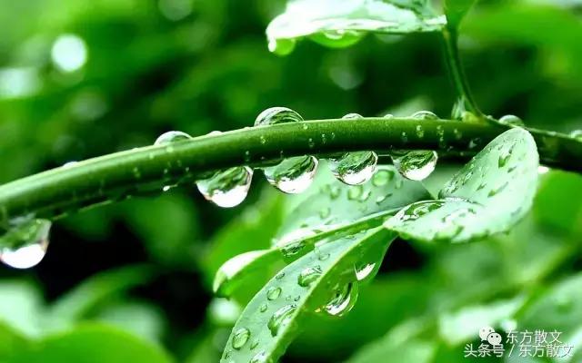 温柔的背叛夏雨,温柔的雨歌曲原唱