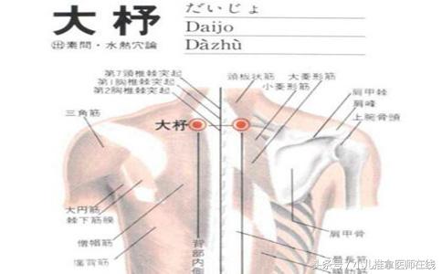 三伏贴都贴哪些穴位,三伏贴适合贴什么穴位呢