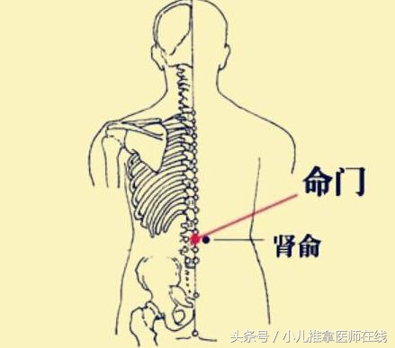 三伏贴都贴哪些穴位,三伏贴适合贴什么穴位呢