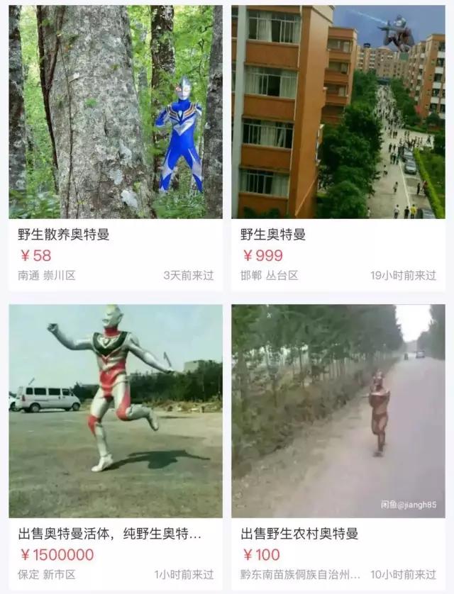 迪士尼喜茶什么好喝,上海迪士尼喜茶在哪里