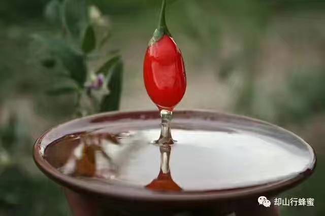 老蜂农：教你中蜂如何防治巢虫