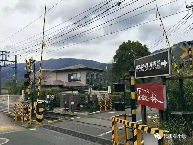 90后男生创业甜品店,2年打造为重庆美女最爱晒朋友圈的聚会场所,电影明星和日本人来偷偷品尝