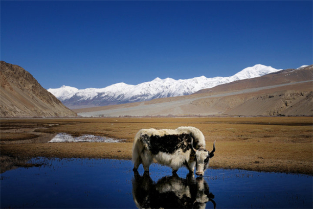 聚焦基层看检察接力克州站第二棒:阿克陶县人民检察院来啦!