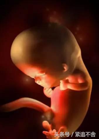 超萌龙凤胎宝宝图片,孕1到9周胎儿发育全过程