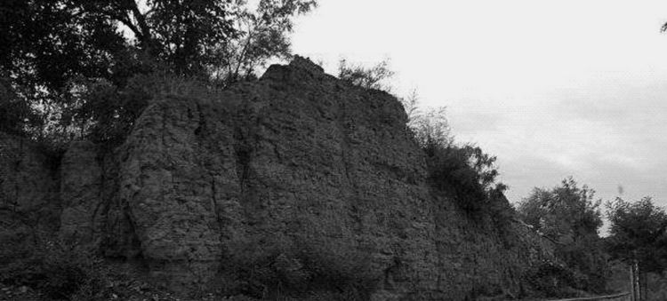 洛阳寿春小学,洛阳市寿春小学