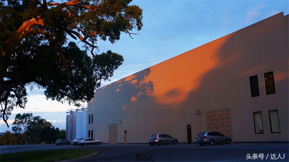 澳洲阿德莱德vs悉尼fc,阿德莱德对澳洲悉尼