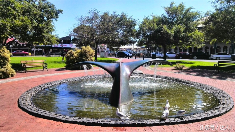 澳洲阿德莱德vs悉尼fc,阿德莱德对澳洲悉尼