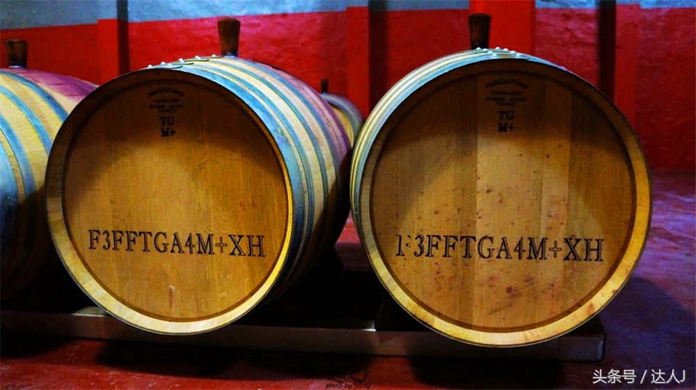 澳洲阿德莱德vs悉尼fc,阿德莱德对澳洲悉尼