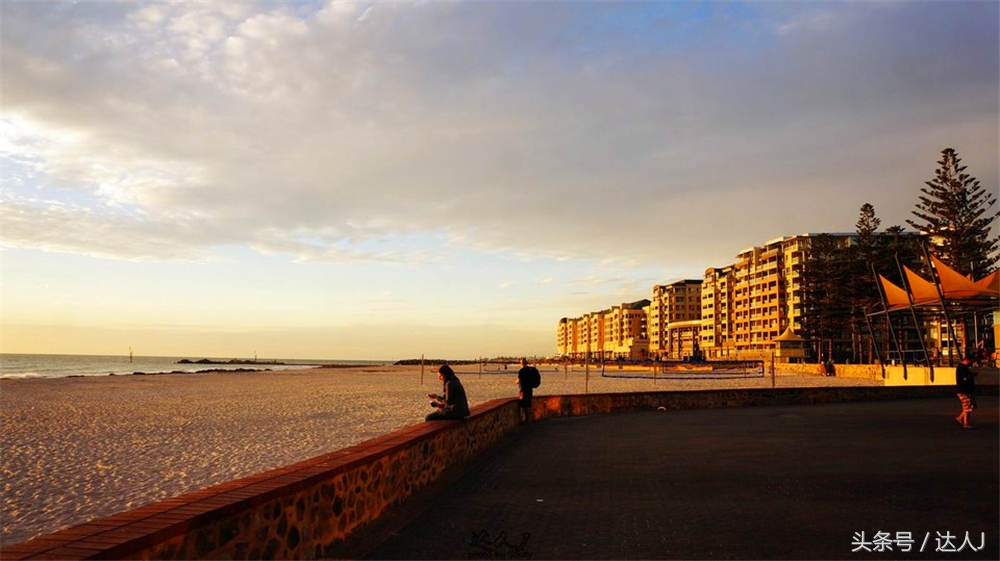 澳洲阿德莱德vs悉尼fc,阿德莱德对澳洲悉尼