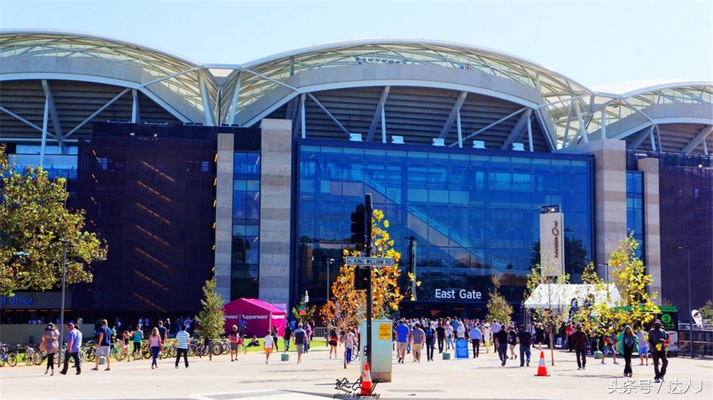 澳洲阿德莱德vs悉尼fc,阿德莱德对澳洲悉尼