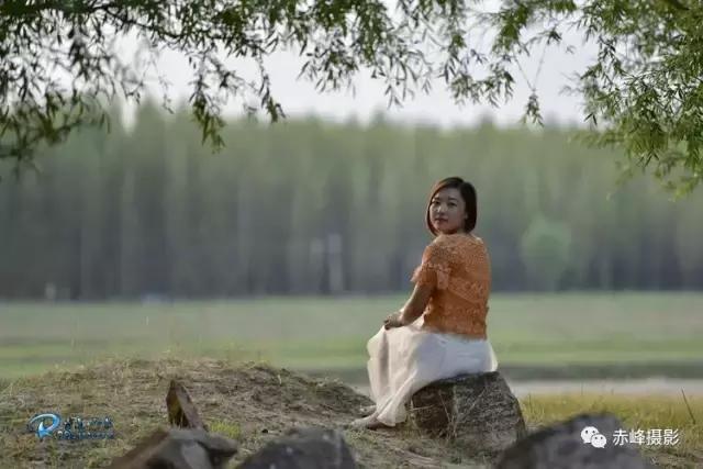 我爱夏日长深度解析,我爱夏日长在线观看