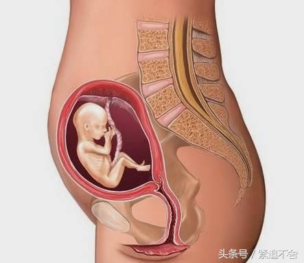 超萌龙凤胎宝宝图片,孕1到9周胎儿发育全过程