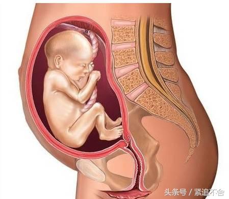 超萌龙凤胎宝宝图片,孕1到9周胎儿发育全过程