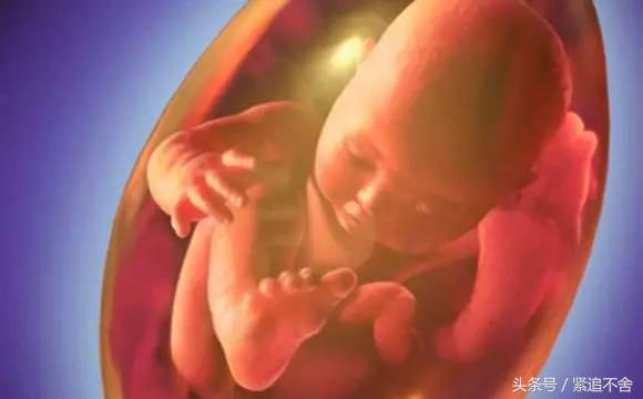 超萌龙凤胎宝宝图片,孕1到9周胎儿发育全过程