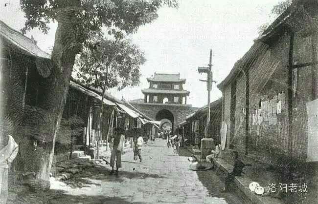 洛阳寿春小学,洛阳市寿春小学