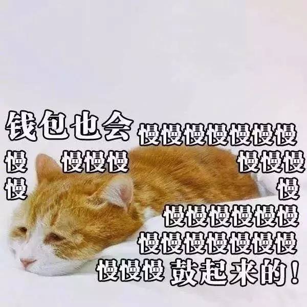 ysl纪梵希阿玛尼档次,纪梵希ysl阿玛尼兰蔻口红哪个好点