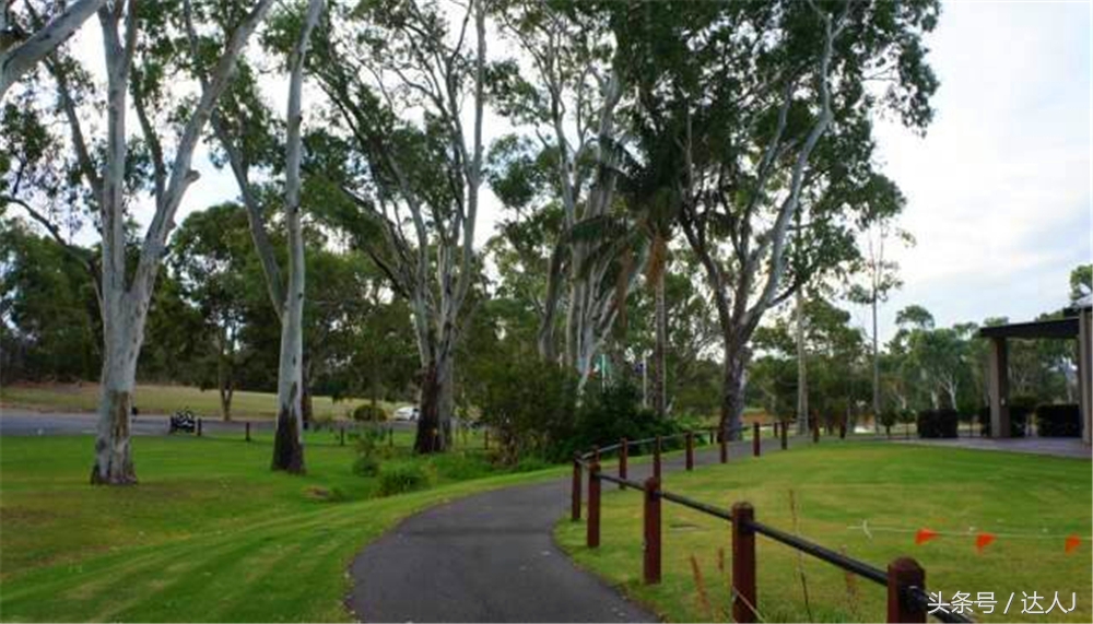 澳洲阿德莱德vs悉尼fc,阿德莱德对澳洲悉尼