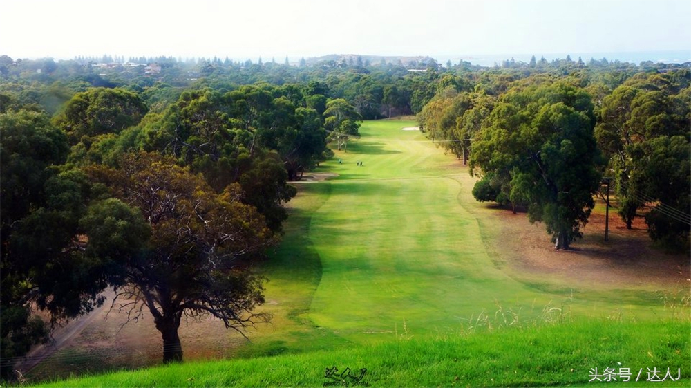 澳洲阿德莱德vs悉尼fc,阿德莱德对澳洲悉尼