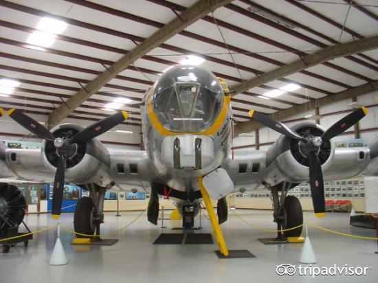 吃热狗挑战赛,吃热狗大赛热狗多重