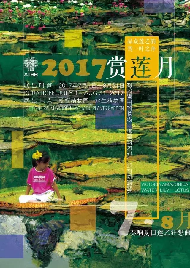 绿色的西双版纳,绿色的西双版纳完整版