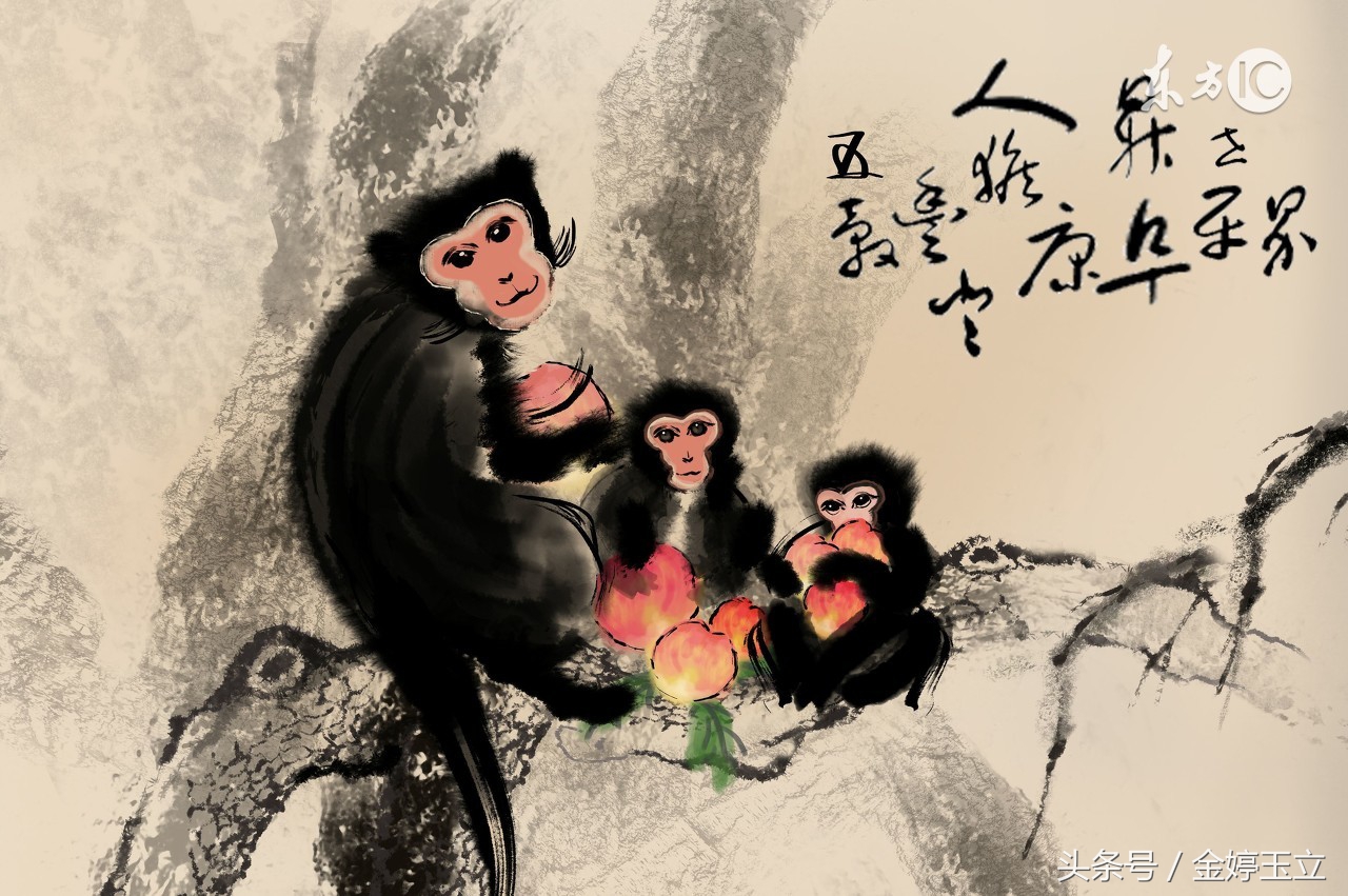 属猴生肖的要几月出生的运势较好,生肖属猴的人什么时候出生最好呢